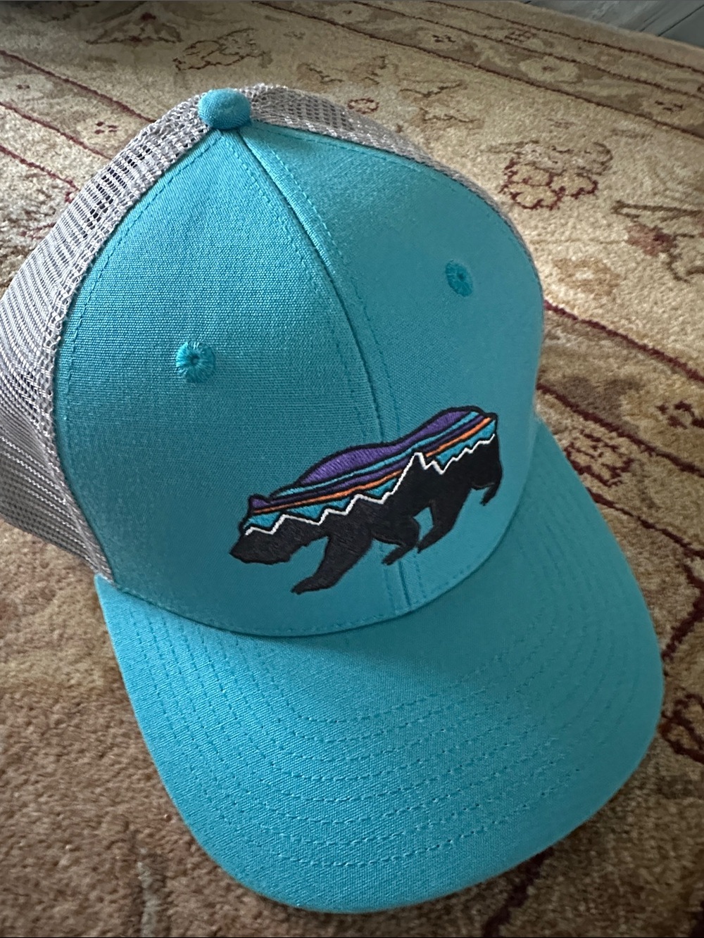 Patagonia Fitz Roy Bear Trucker Hat